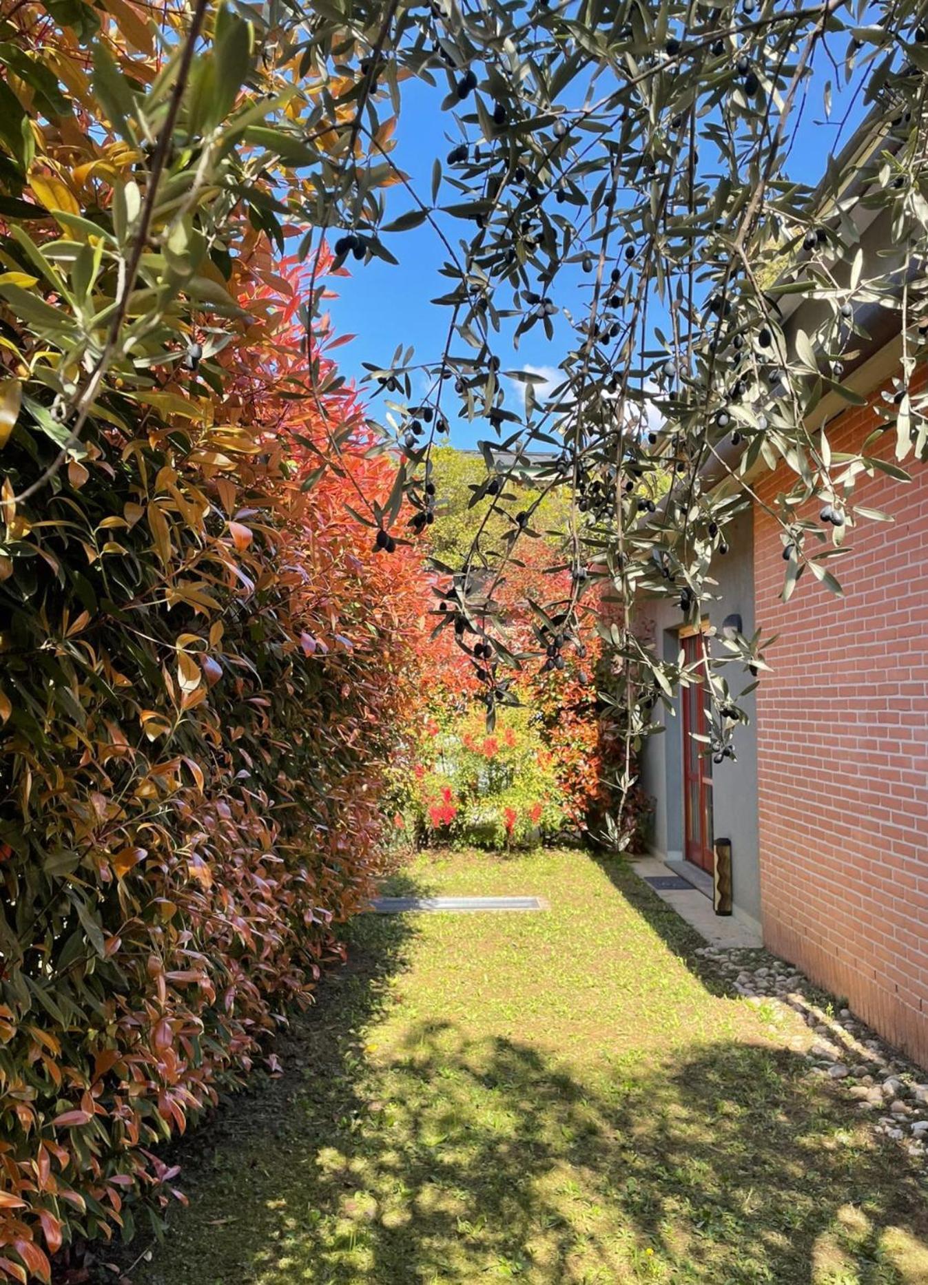 L'Ulivo Di Como Apartment Bagian luar foto